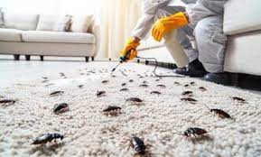 Cockroach control service image